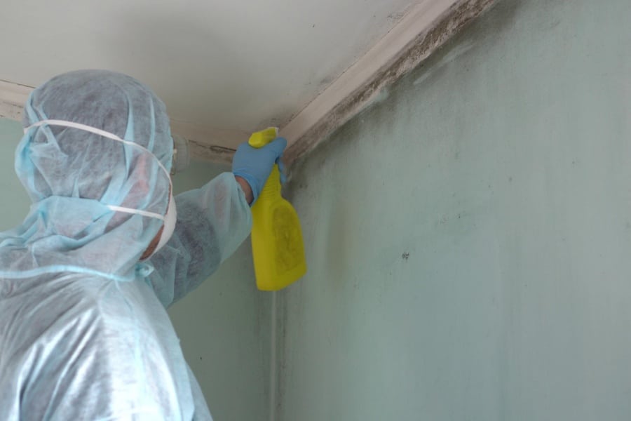 Mold Remediation in Dearborn Heights, MI | Father & Son Restoration